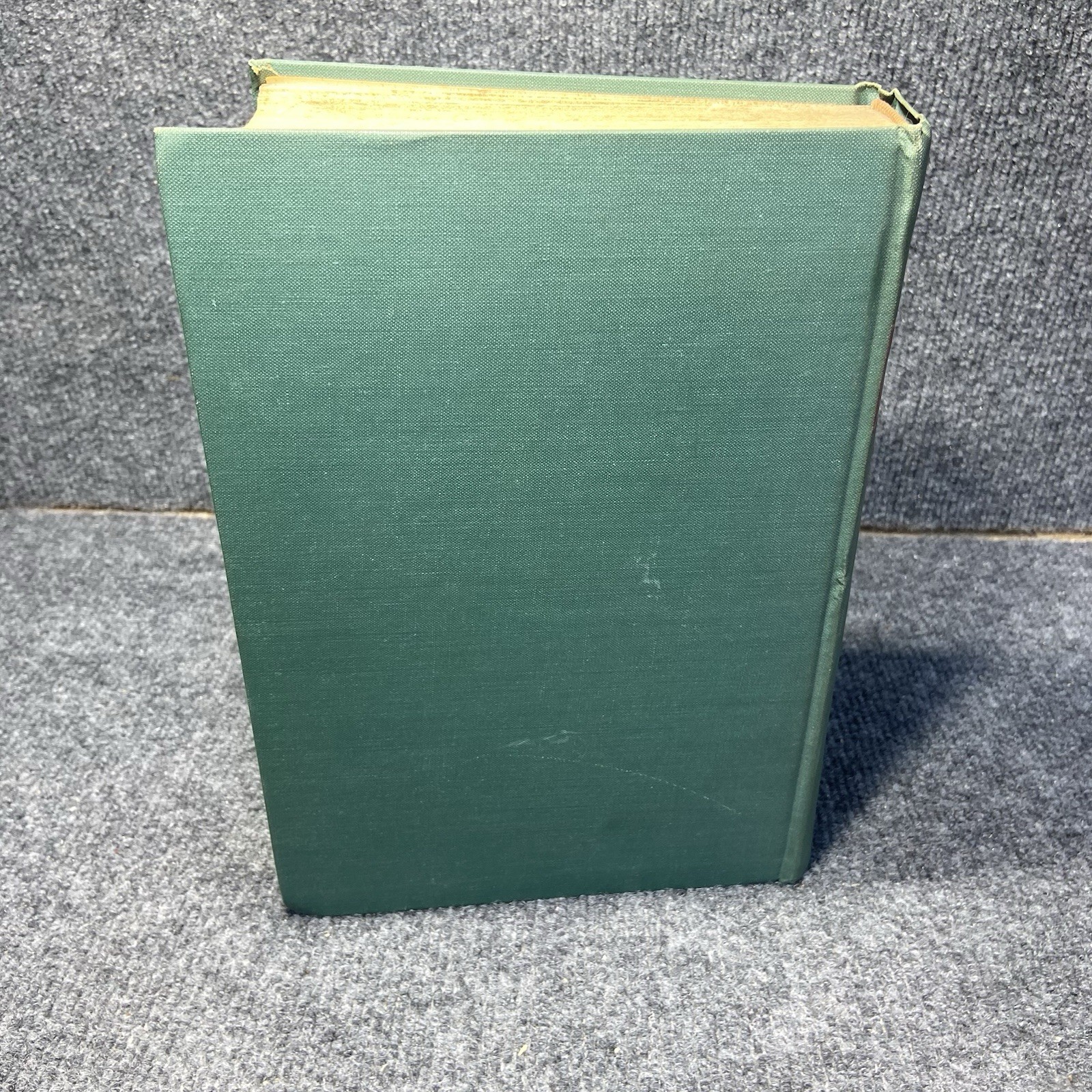 US Army in WWII War European Theatre Of Operations The Siegfried Line Campaign