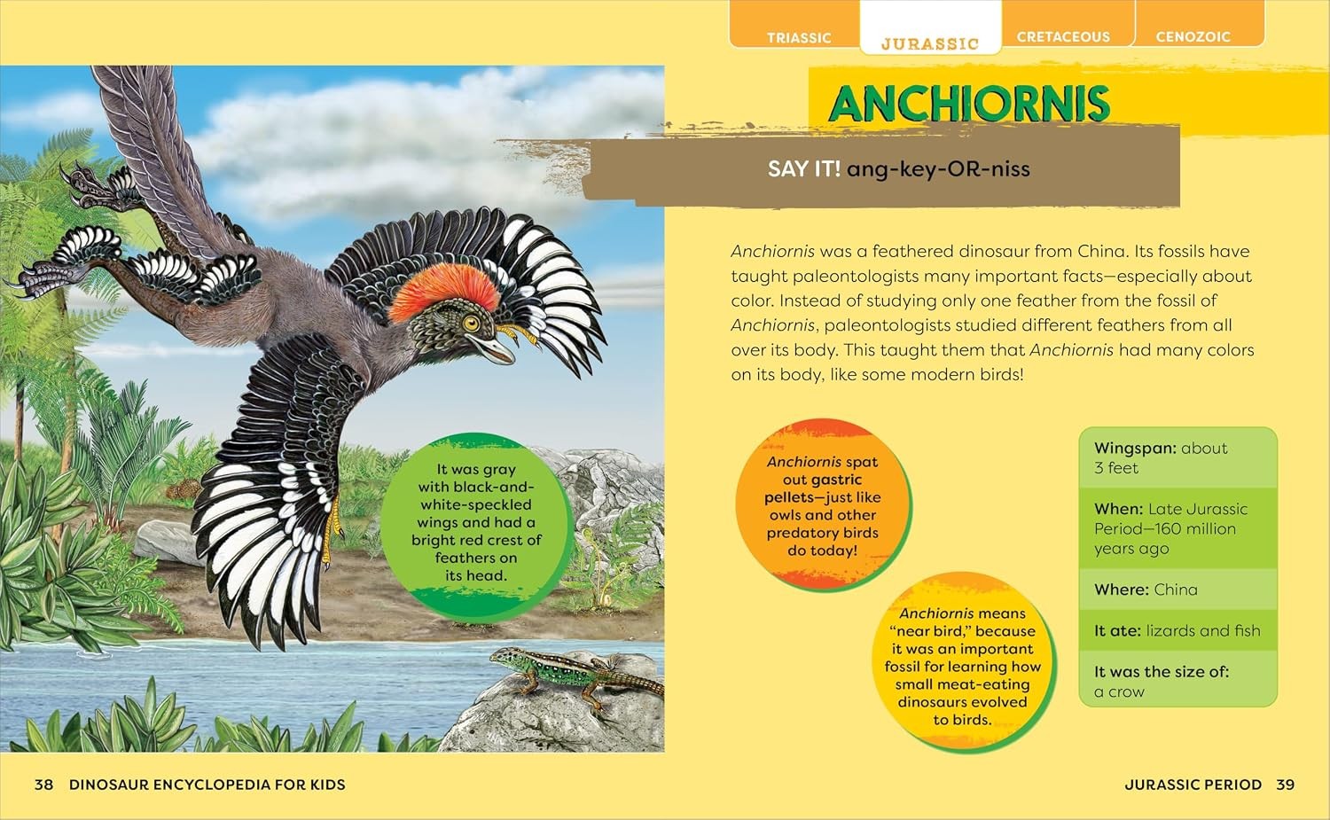 Dinosaur Encyclopedia for Kids: The Big Book of Prehistoric Creatures Hardback