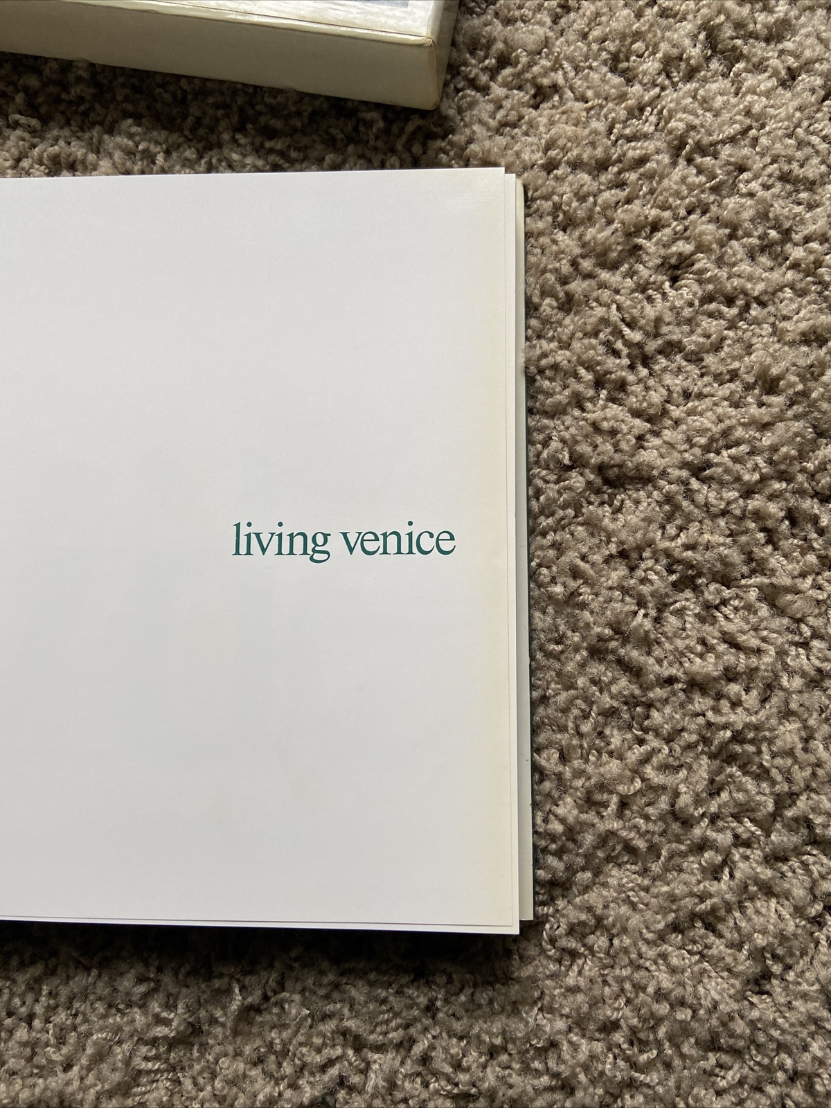 Living Venice / Essere Venezia HCDJ Color Illus Book Magnus Ed. English