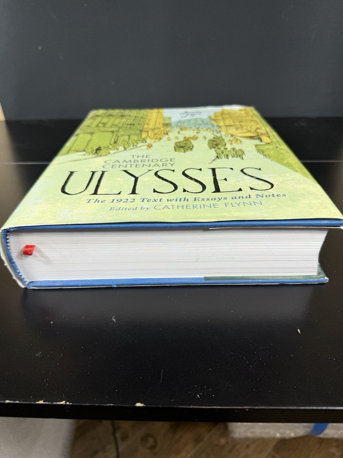 The Cambridge Centenary Ulysses by James Joyce The 1922 Text with Essays & Notes