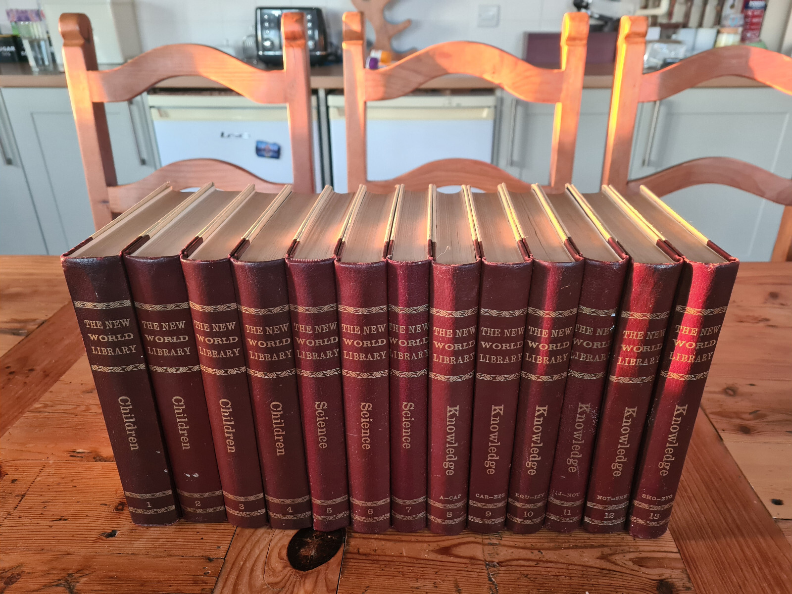 New World Library Family Encyclopedia set 1966 13 Volumes
