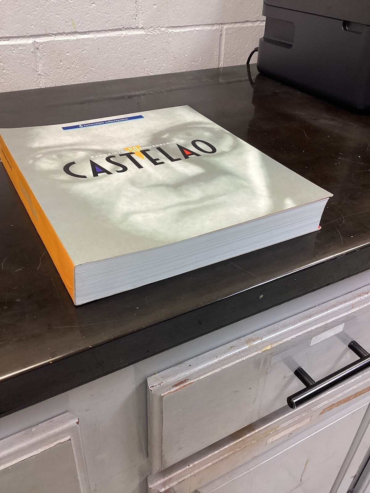 CASTELAO/50 ANIVERSARIO/G COND PB/ART BOOK FULL COLOR