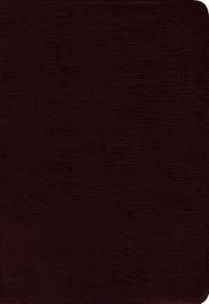 Amplified Bible – Leather Bound, by Zondervan – Good