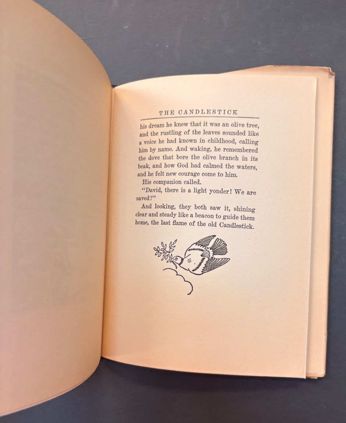 The Candlestick _ by Margery Williams Bianco _ 1929 _ 1st Edition