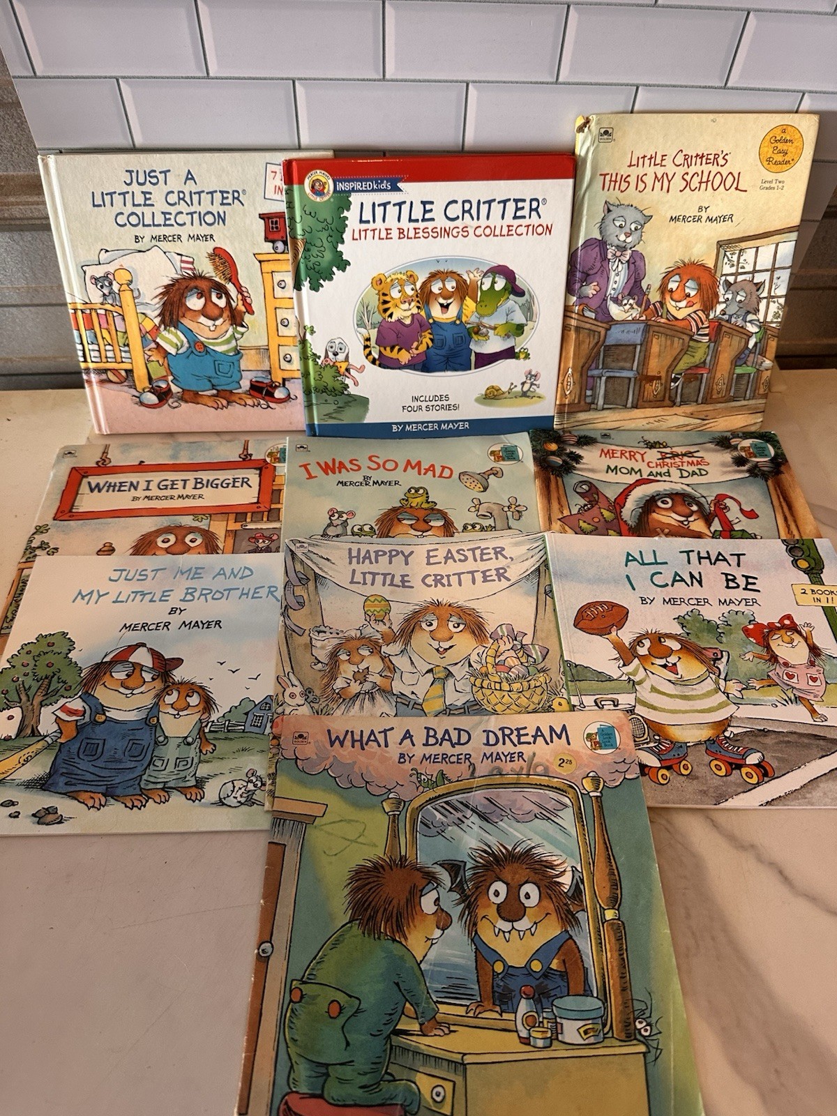 Little Critter Book Collection by Mercer Mayer Lot Of 10 (540)