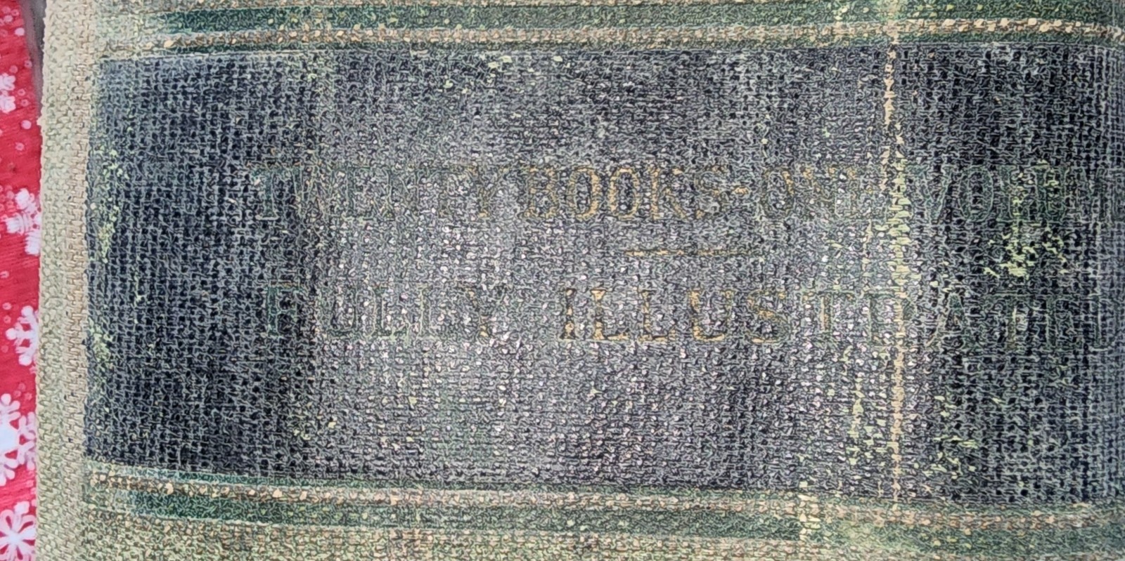 1916 Edition of the Library of Health. Huge Book 20 Volumes In 1