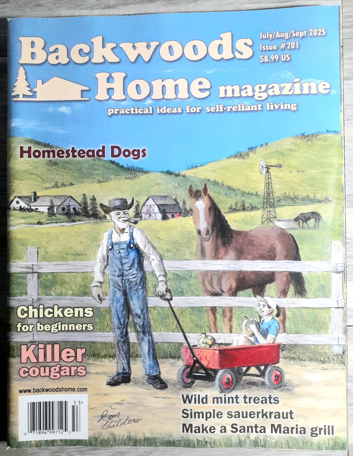 Backwoods Home/Self Reliance Homestead Magazine Lot (9) Complete 2025 & (1) 2026