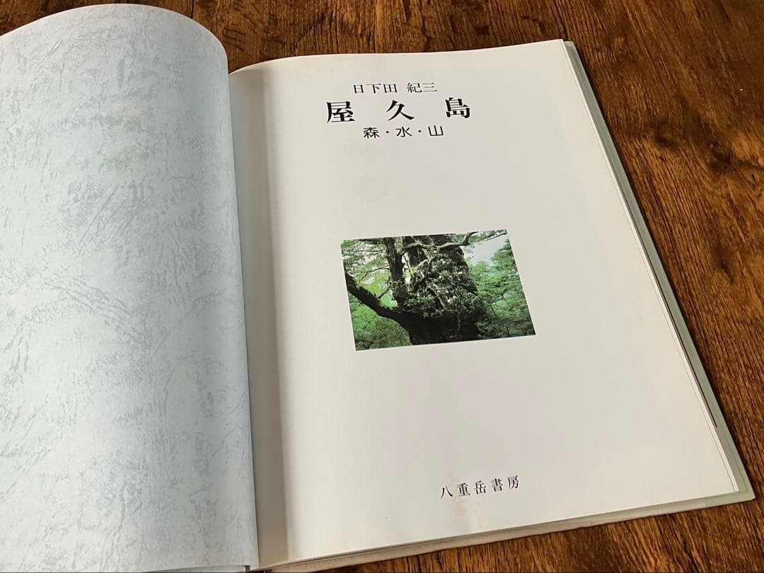 Yakushima Forests Water Mountains Kizo Kushita Out of Print First Edition