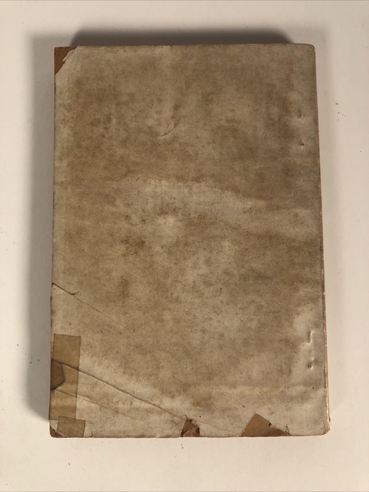 c1900 “ALBERTUS MAGNUS – EGYPTIAN SECRETS or WHITE AND BLACK ART – Occult PB