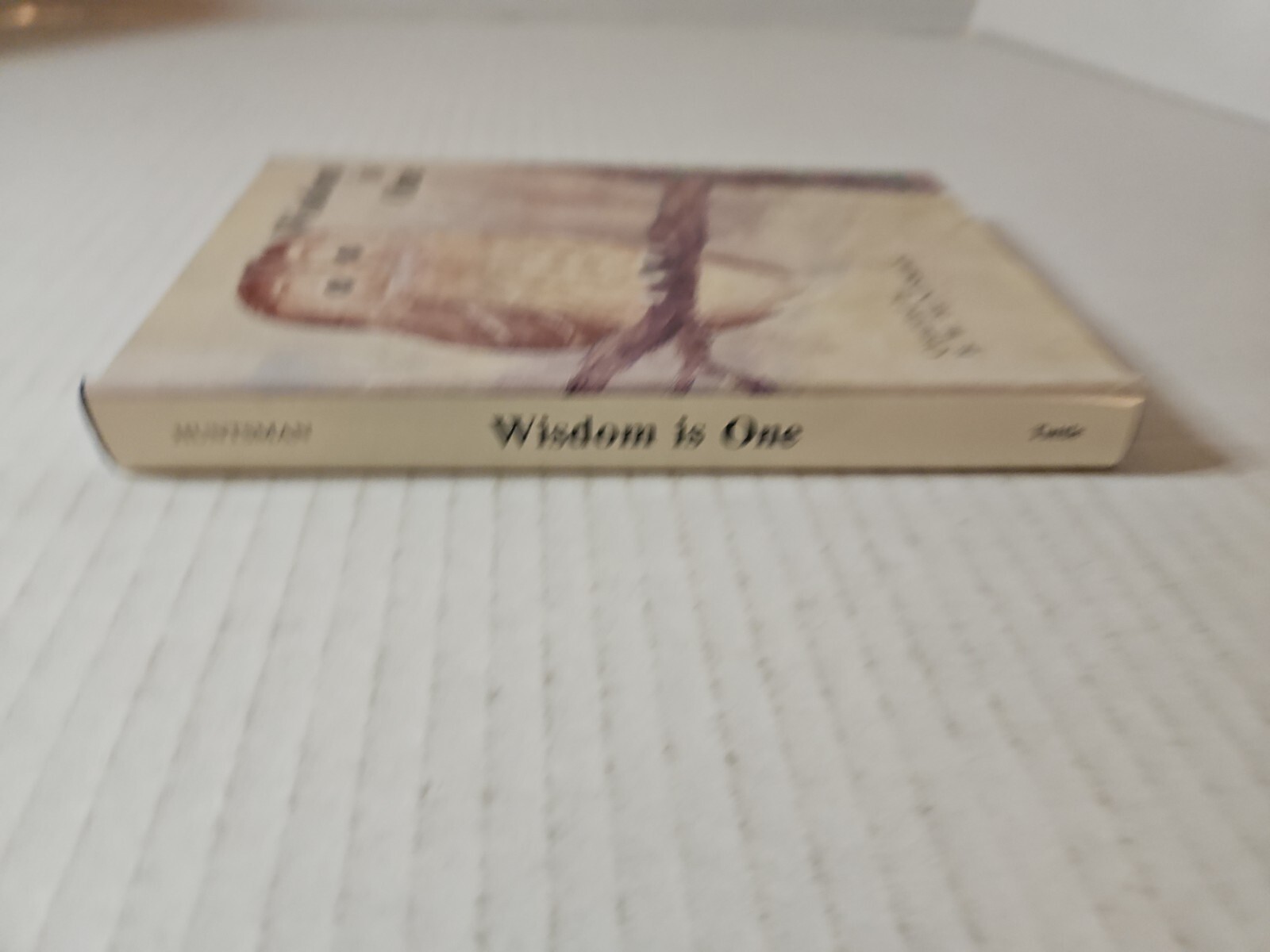 WISDOM IS ONE By B W Huntsman – HCDJ