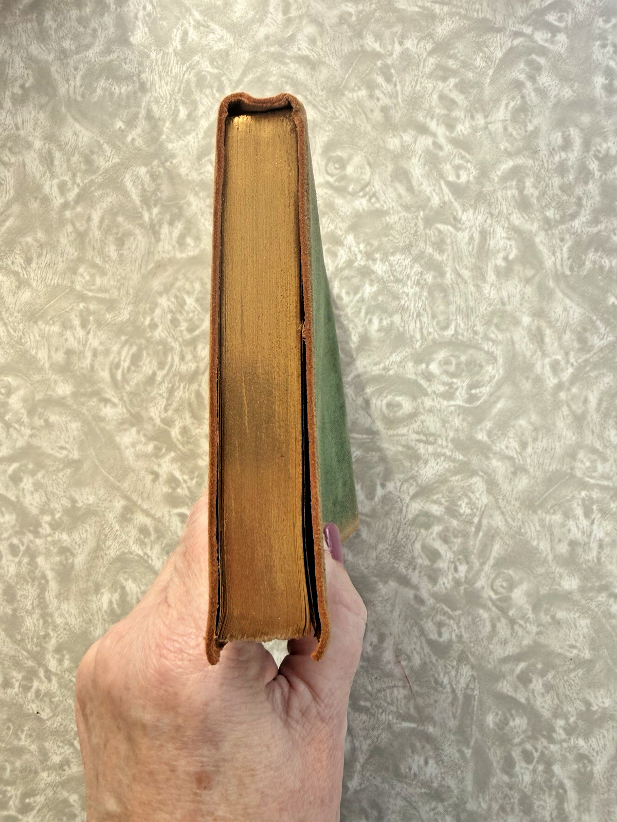 RARE Sesame and Lilies by John Ruskin Leatherbound Gilt Cover Dodge Publishing