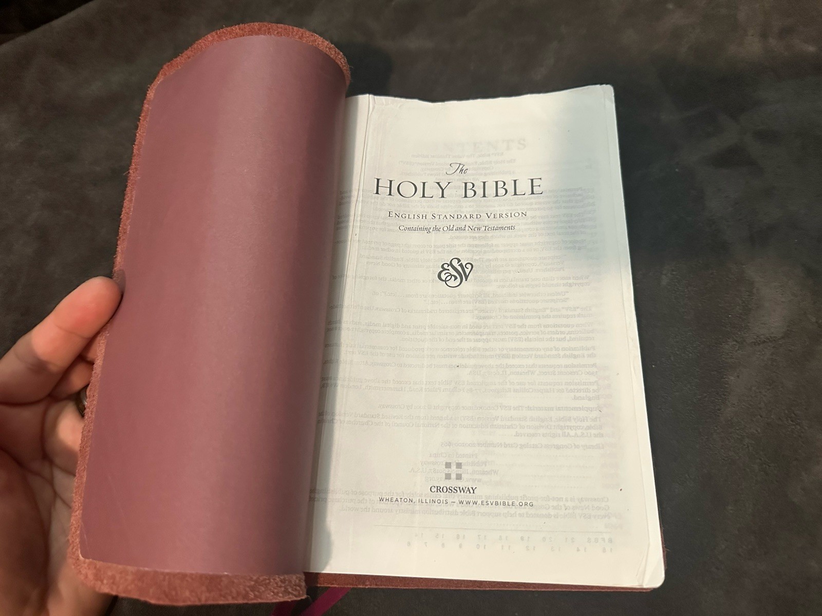 esv thinline bible leather English Standard Version Burgundy Compact ￼
