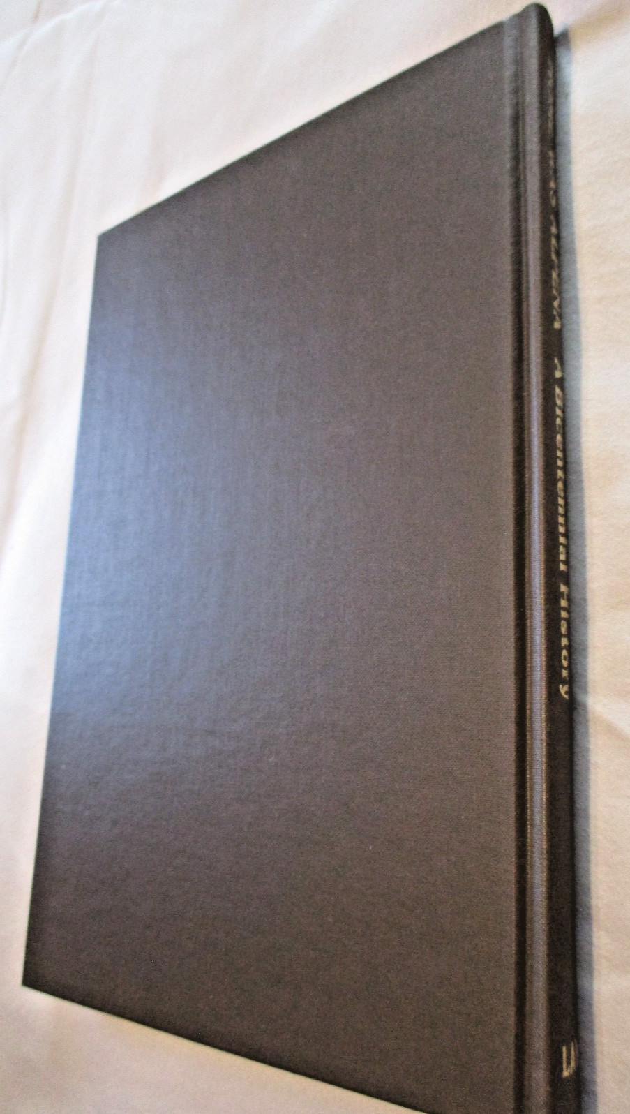 HOME WAS ALPENA Bicentennial History JOHN WESLEY LAW North Michigan Photos 1975