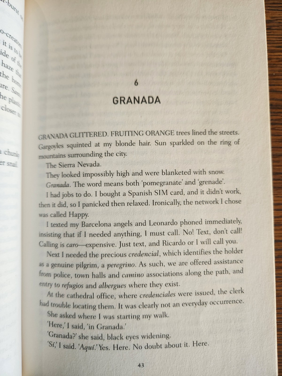 Sinning Across Spain : A Walker’s Journey From Granada to Galicia by Ailsa Piper