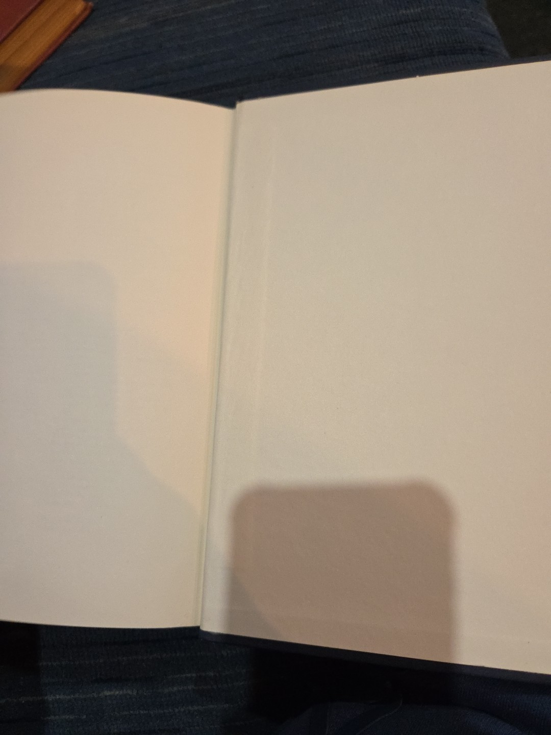 PUBLIC RELIEF 1929-1939 Josephine Chapin Brown 1971 Octagon Books