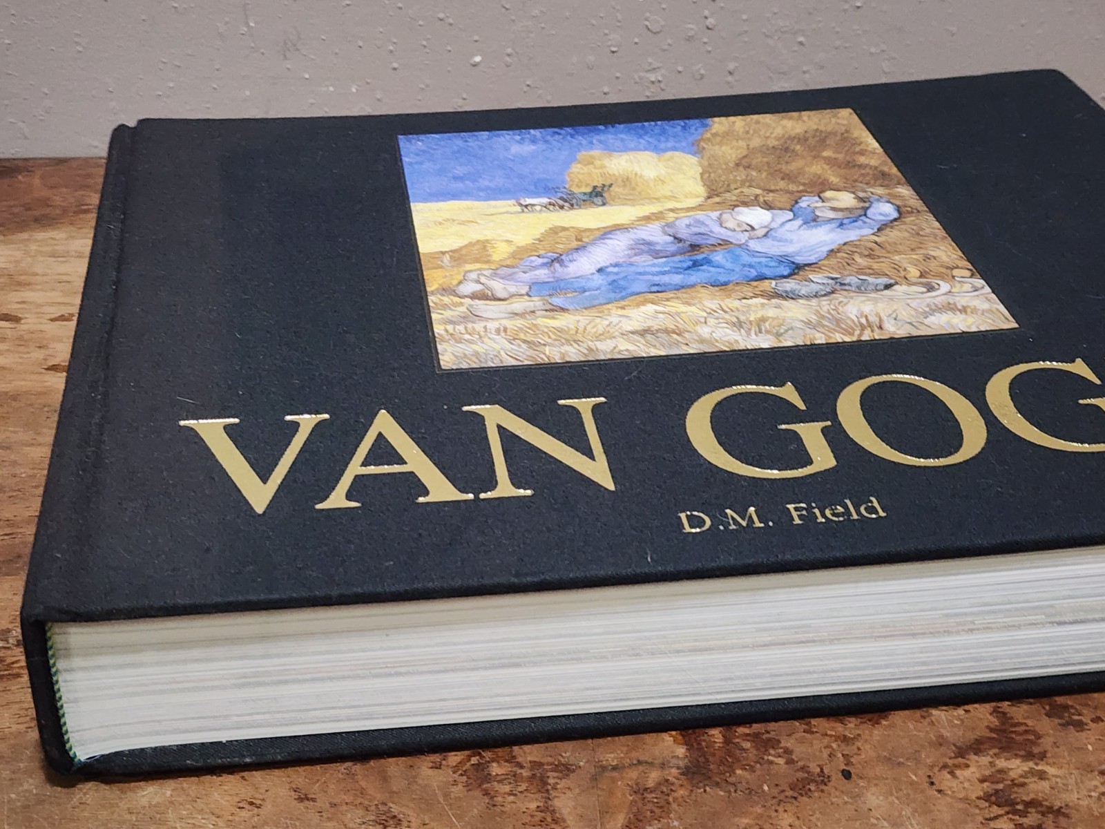 Van Gogh DM FIELD (Hardcover)