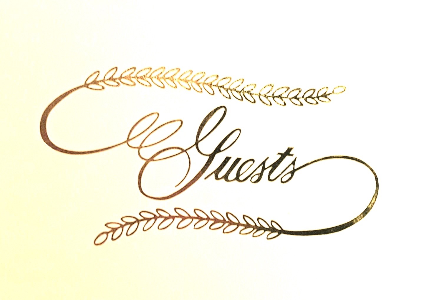 NIB VICTORIA LYNN Wedding GUEST BOOK EMBOSSED GOLD FRONT 32 Double Side Pages