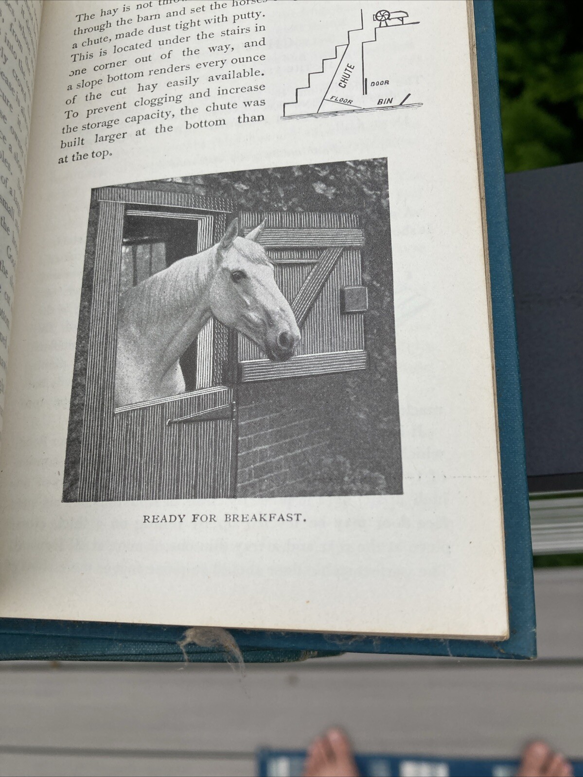 VTG Lot of 4 Biggle Farm Books Horse 1906 +Berry 1911 + Orchard 1908 & Garden