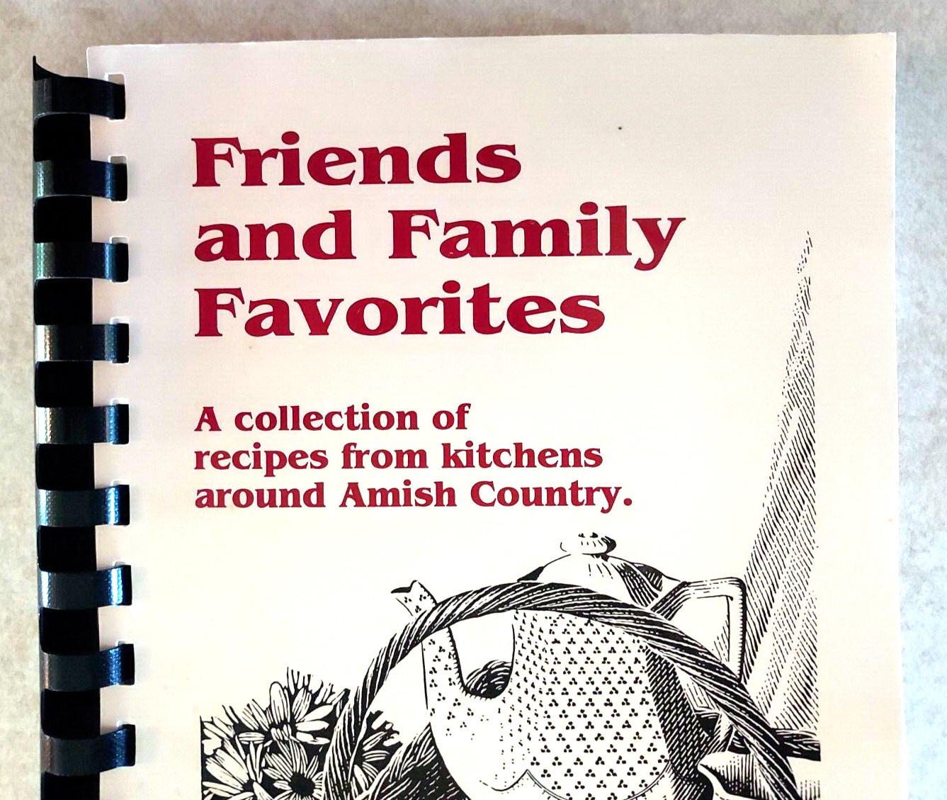 FRIENDS AND FAMILY FAVORITES Amish Country Cookbook 143 Pages Lisa Emmel
