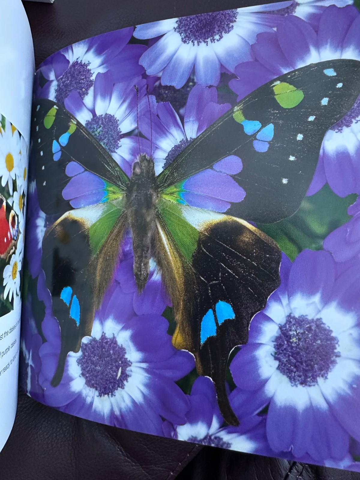 NOS Flowers Cube book Valeria Manferto De Fabianis Hardback 736 page color photo