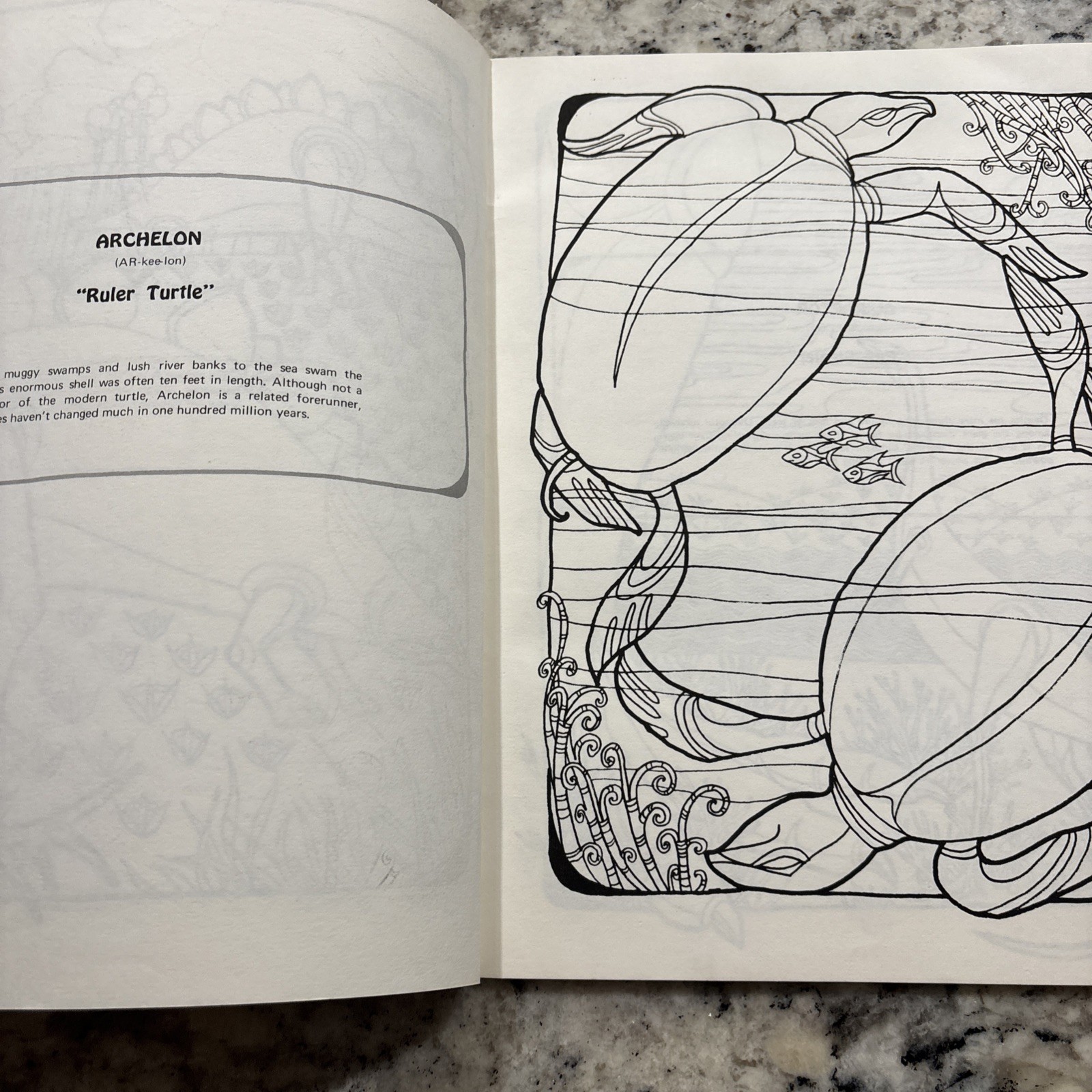 Dinosaur Coloring Book Troubador Press 1970 Retro Unused Oversized