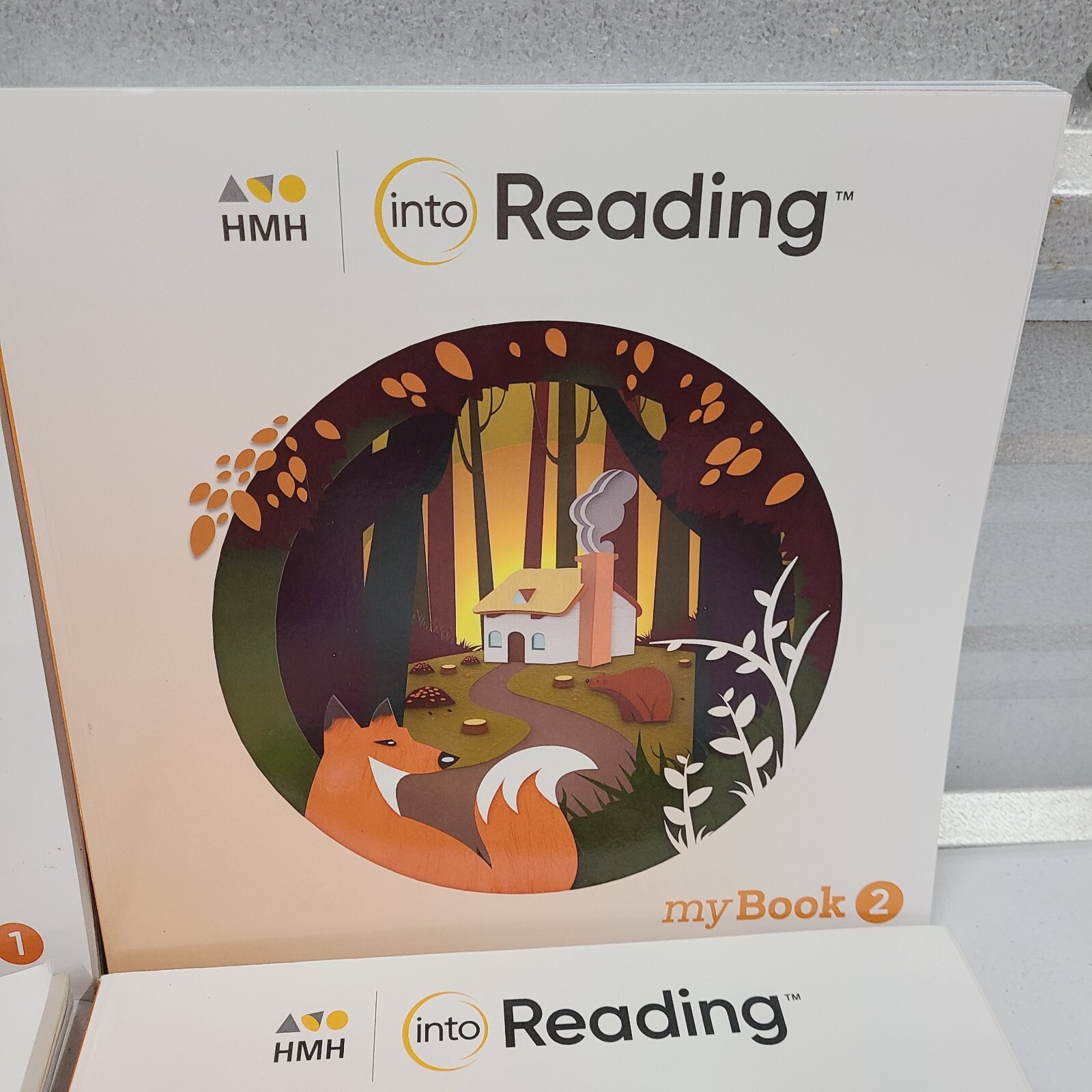 myBook HMH Into Reading Grade 2 Practice Workbook Text – Books 1-5, my book 2nd