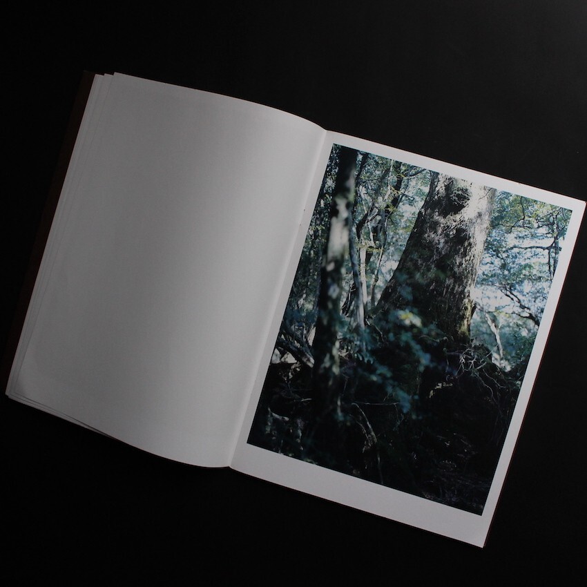 Materia Yoshihiko Ueda 2012 Japanese Photography Book Yakushima Landscape Forest