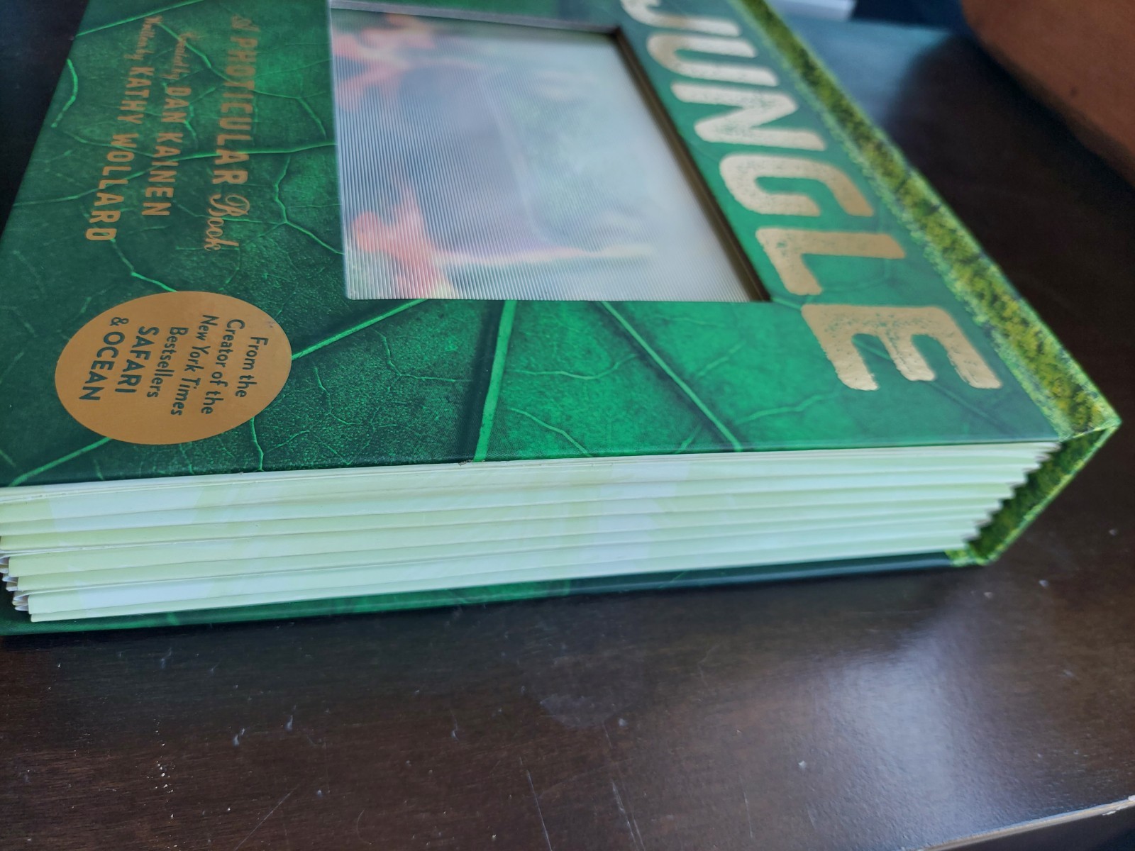 JUNGLE A PHOTICULAR BOOK by Kathy Wollard and Dan Kainen (2016, Hardcover)