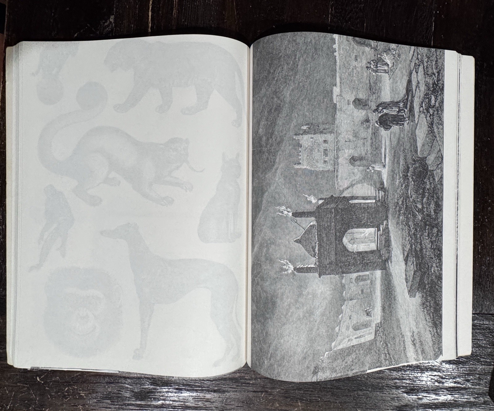 Harter’s Picture Archive for Collage and Illustration (Dover Pictorial Archive)