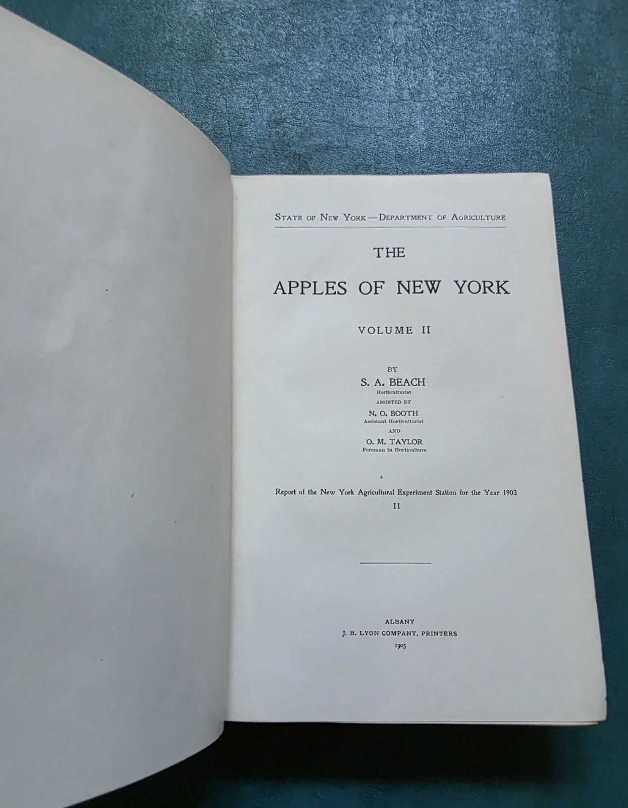 THE APPLES OF NEW YORK Vol 2 S. A. Beach 1905 1st Edition ILLUSTRATED Hardcover