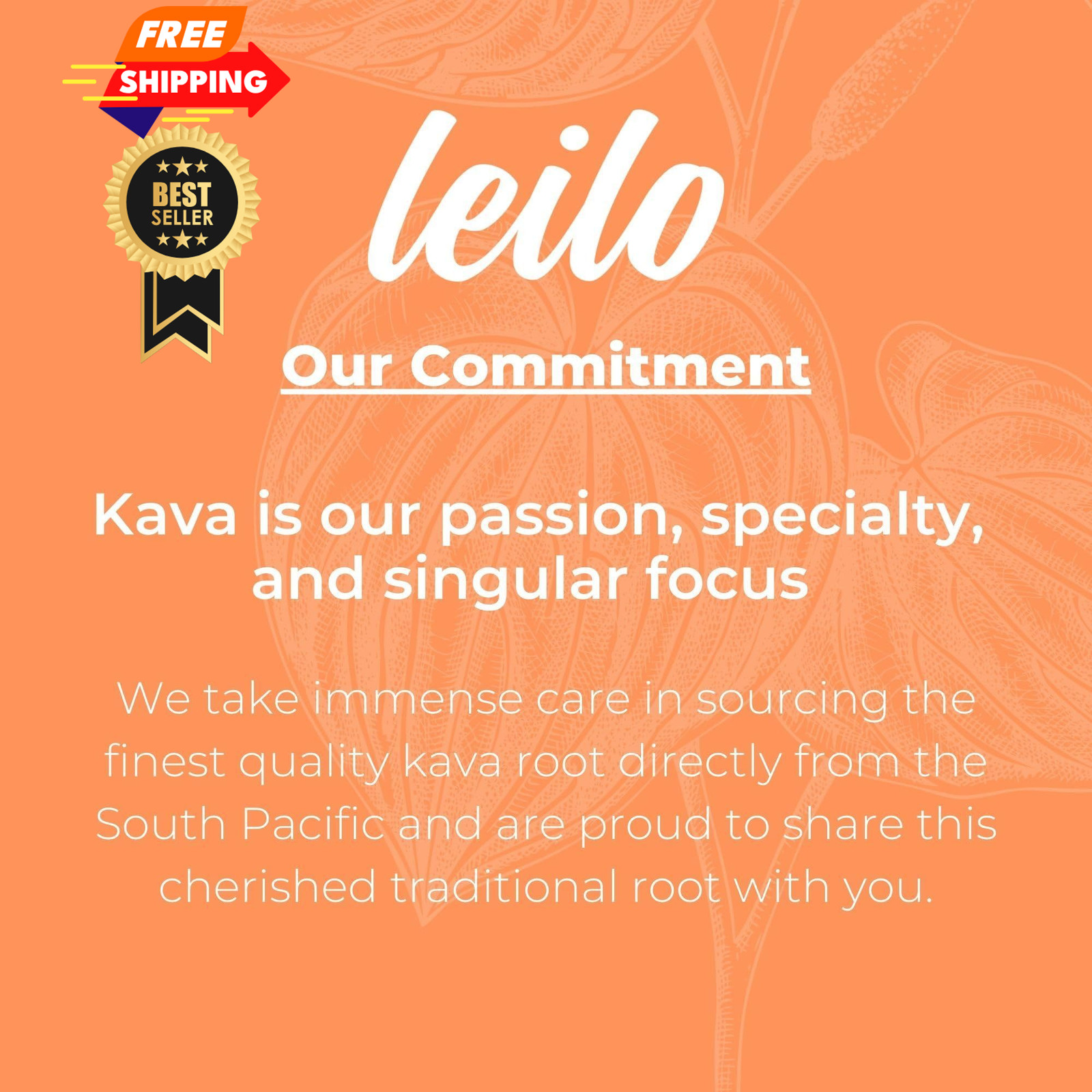 Leilo | Kava Powered Sparkling Relaxation Drink | 12 Fl Oz (Pack of 12)