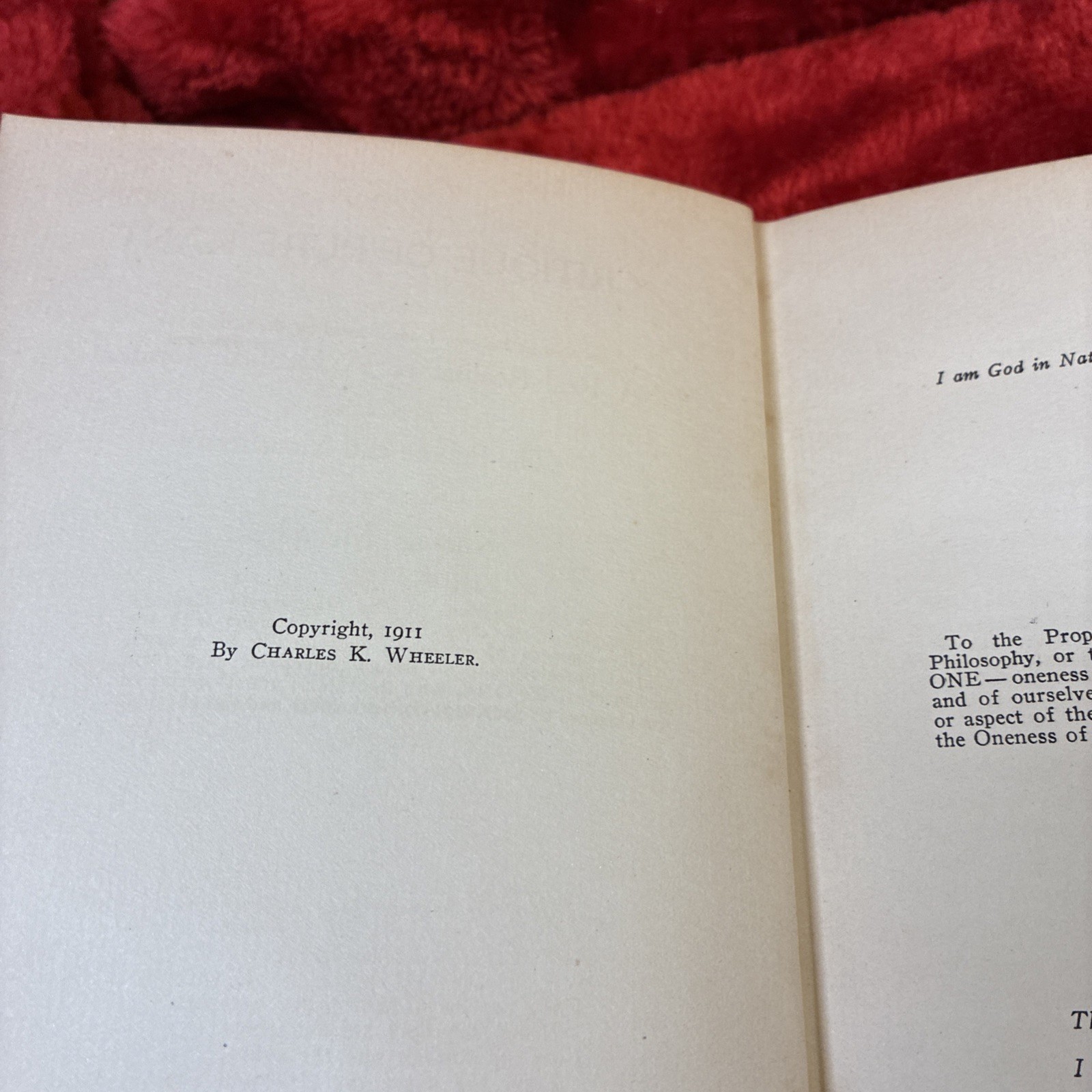 Critique of Pure Kant by Charles Kirkland Wheeler 1911 1st Scarce