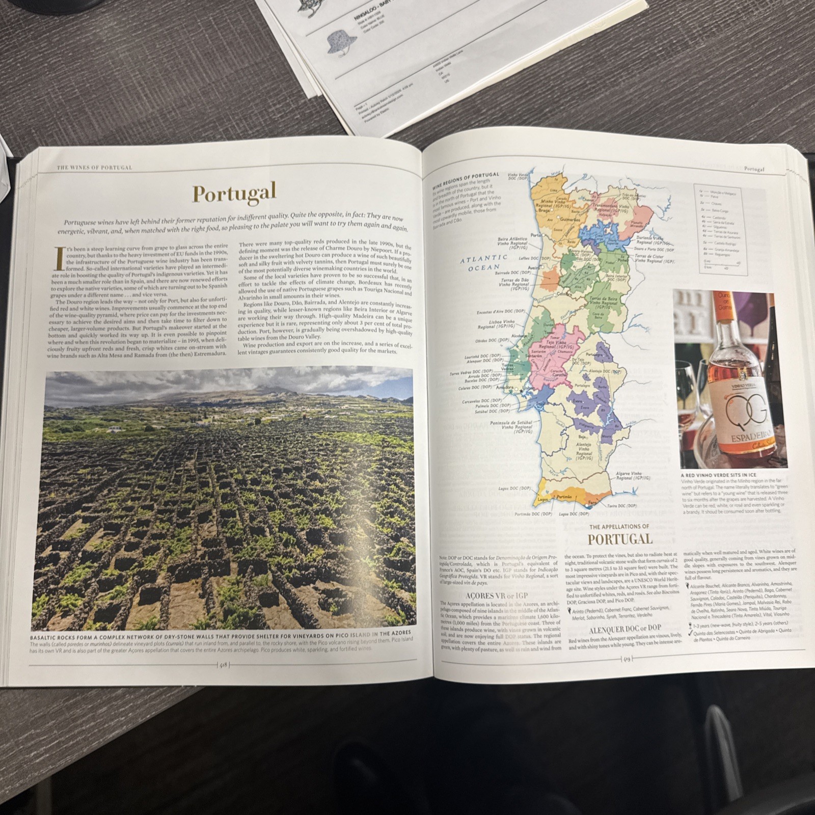 New Sotheby’s Wine Encyclopedia by Tom Stevenson (2020, Hardcover)
