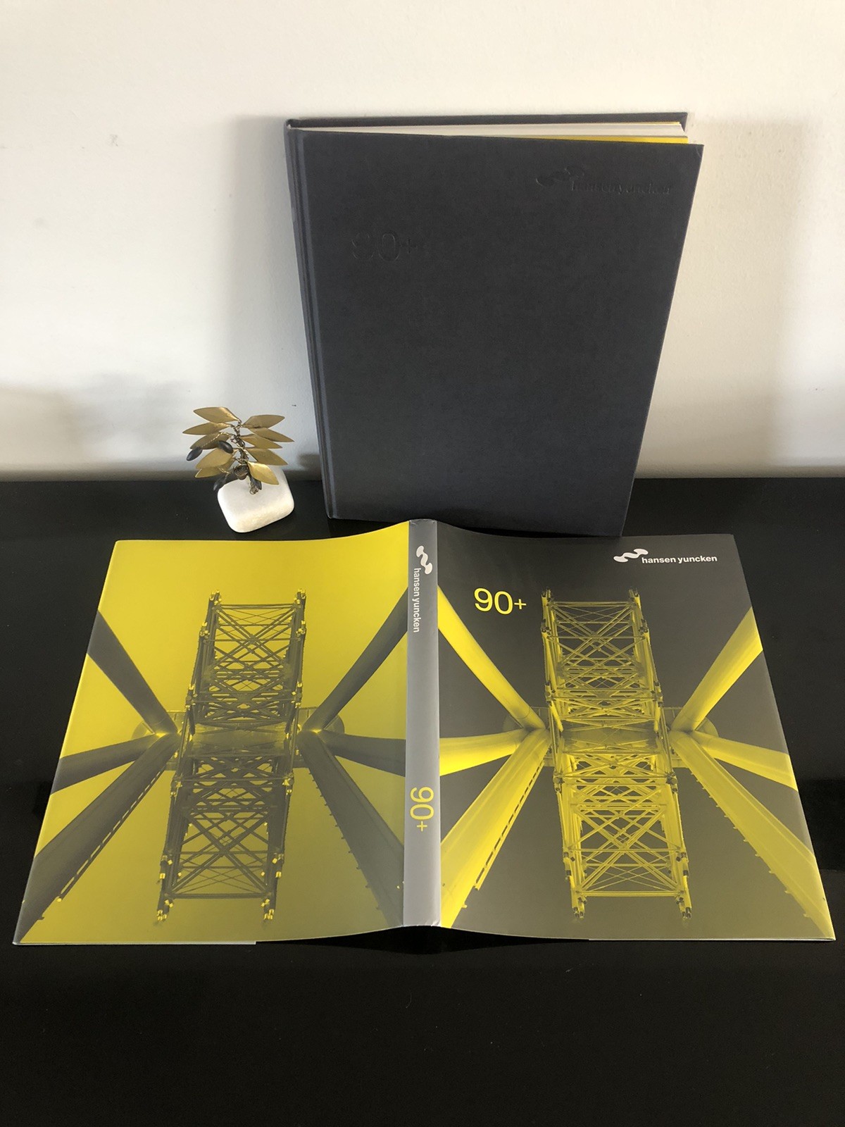 Architecture Hansen Yuncken 90+ 2007 First Edition HC DJ LN Company 🏗️