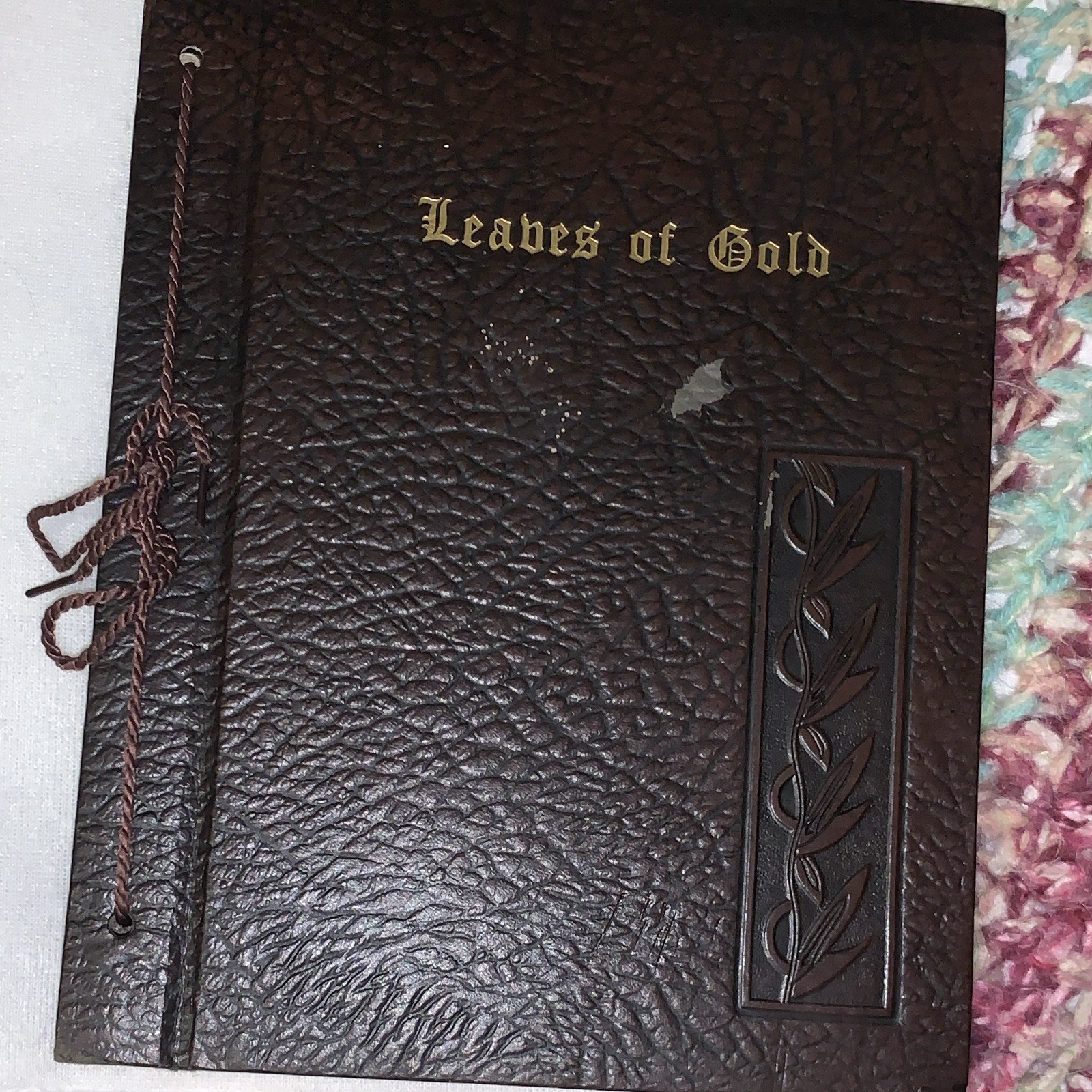 Clyde Francis Lytle Leaves of Gold Hardcover Leather Bound RARE