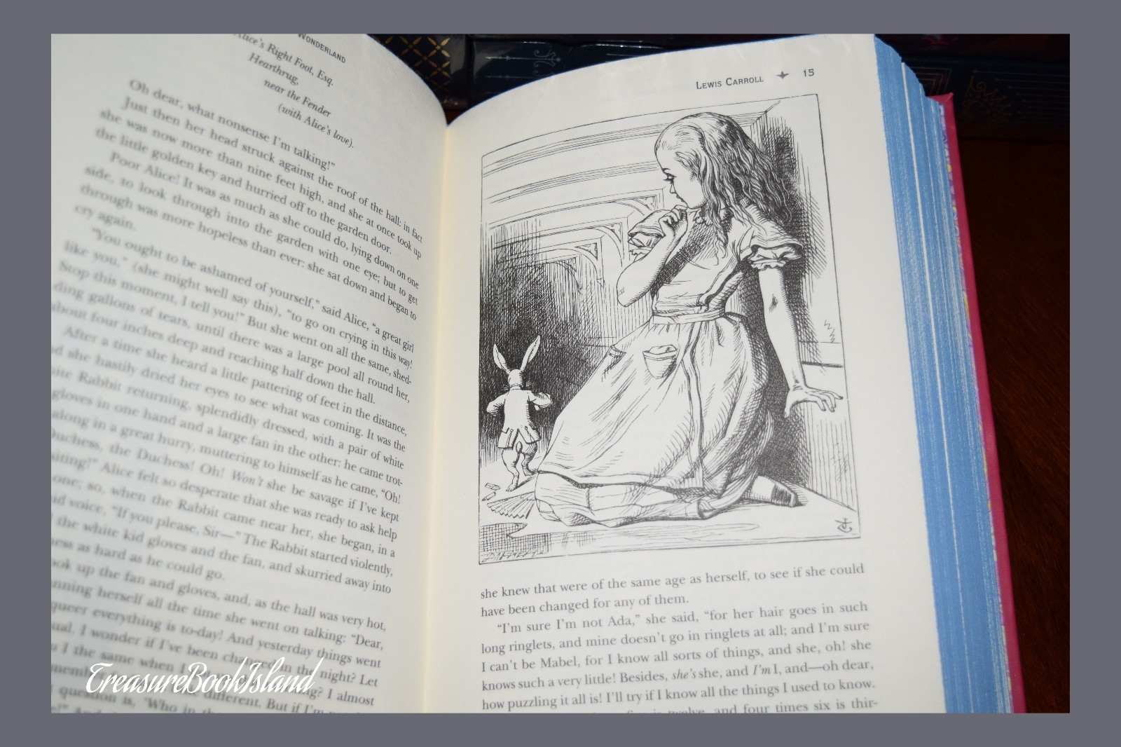 Alice in Wonderland & Through Looking Glass Carroll New Leather Bound Deluxe