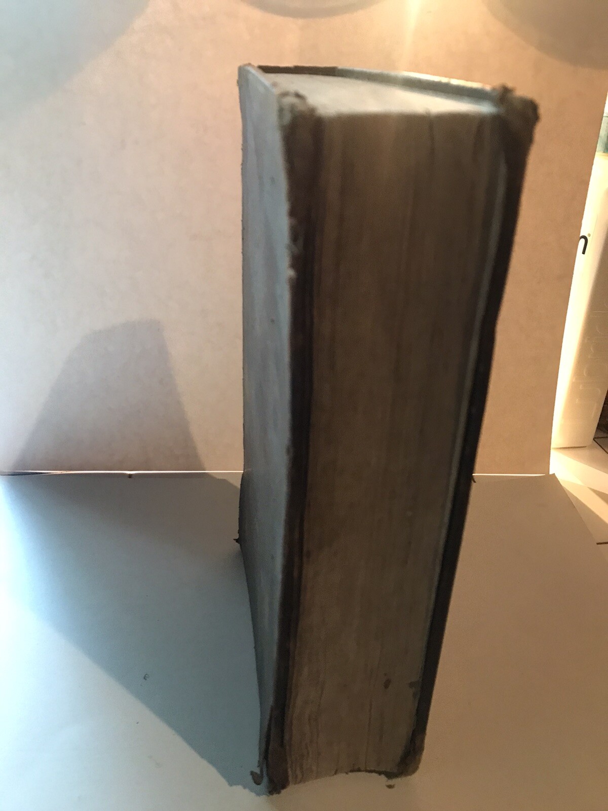 Popular Medicine Or Family Adviser, Reynell Coates, Leather, 1838, 1st Ed, RARE