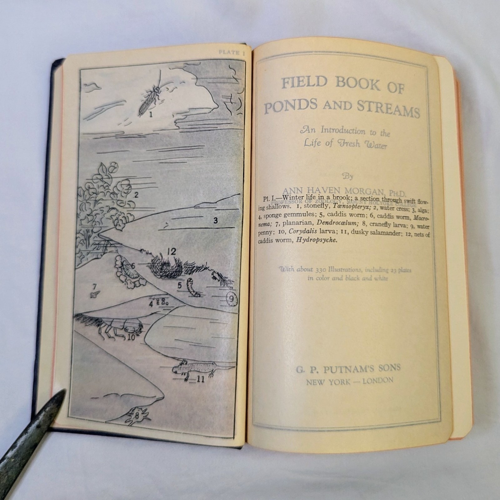 1930 Field Book of Ponds and Streams – Ann Haven Morgan – Putnam Nature Guide HC