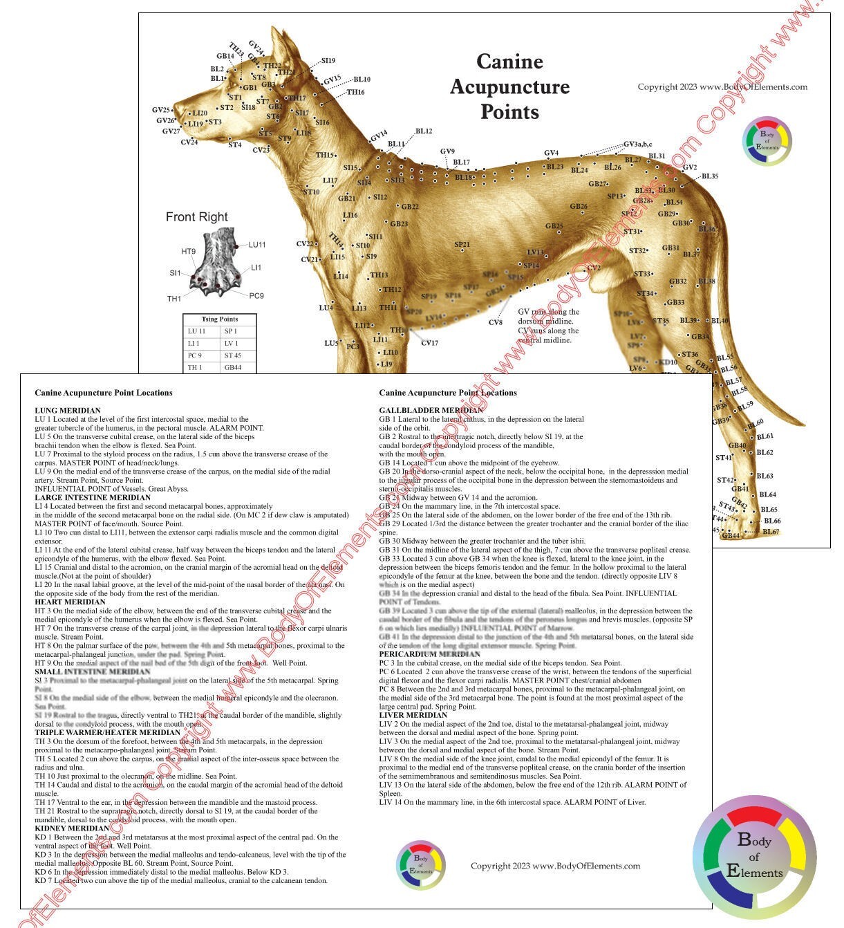 Dog Acupuncture Chart Set 8.5″ X 11″ Canine Acupressure Points Reference
