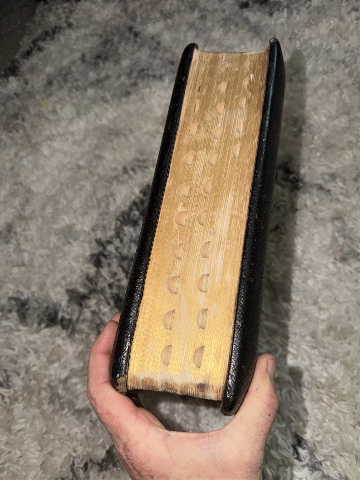 THE HOLY BIBLE, CONTAINING THE OLD AND NEW TESTAMENTS LEATHER BOUND INDEXED RARE