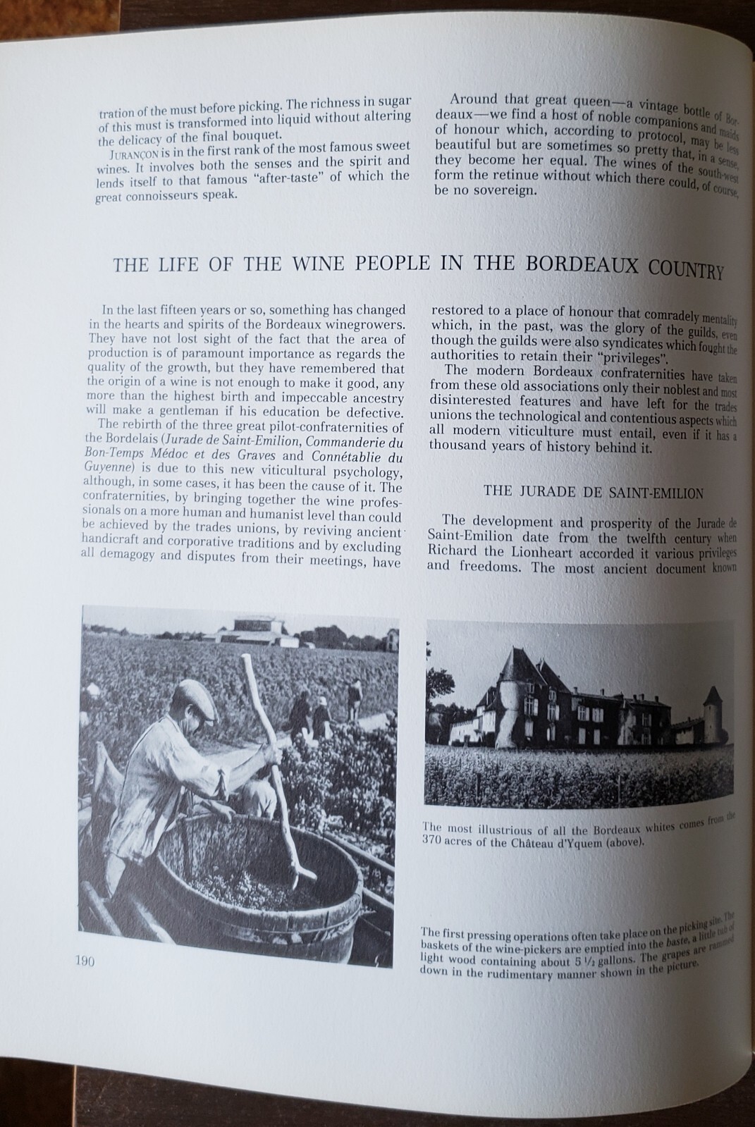The Great Book of Wine 522 Pages 240 Illustrations 1982 7500 Wines Learn History