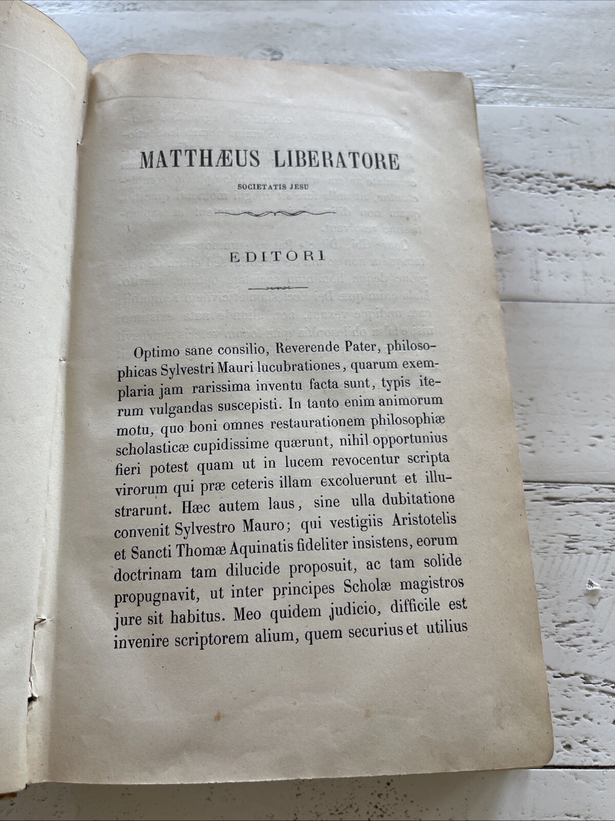 Quaestiones Philosophicae Vol. 1 by Sylvestro Mauro, 1875 Catholic Work