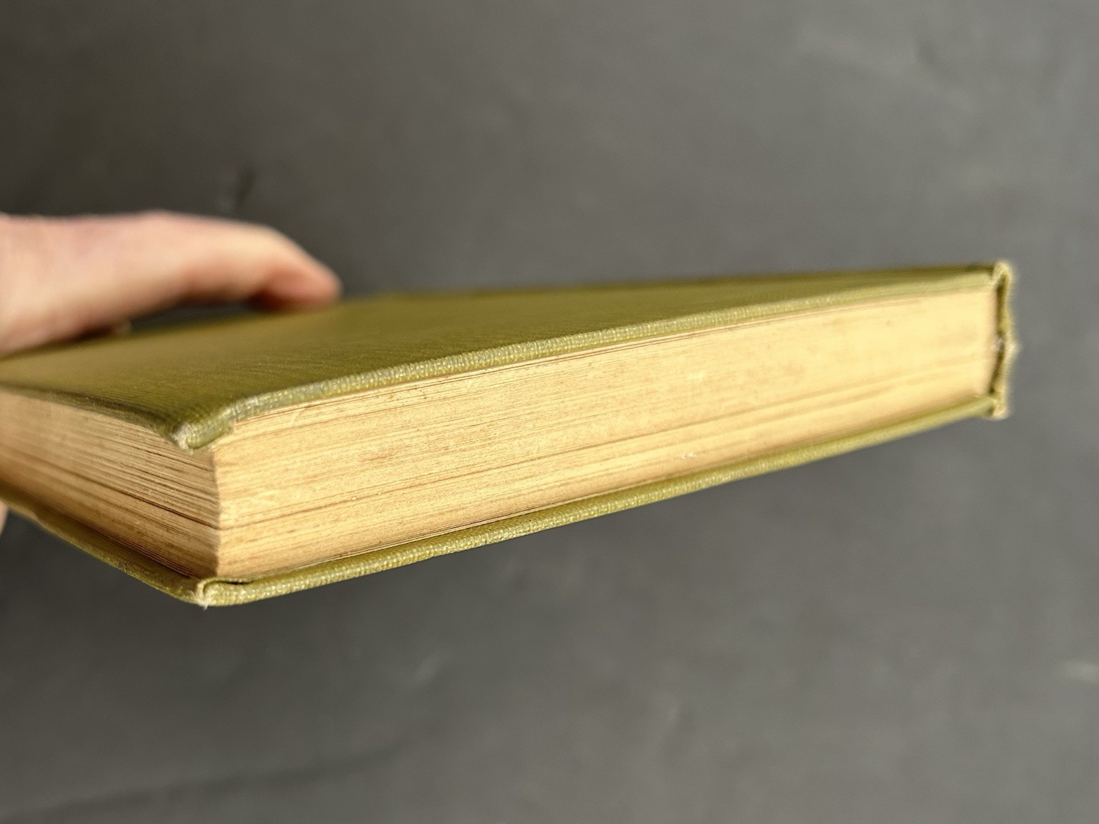 1911 Profitable Stock Raising by Clarence A Shamel Farm Life Series HB Illust