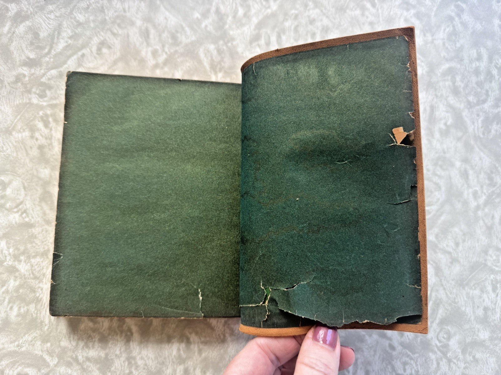 RARE Sesame and Lilies by John Ruskin Leatherbound Gilt Cover Dodge Publishing