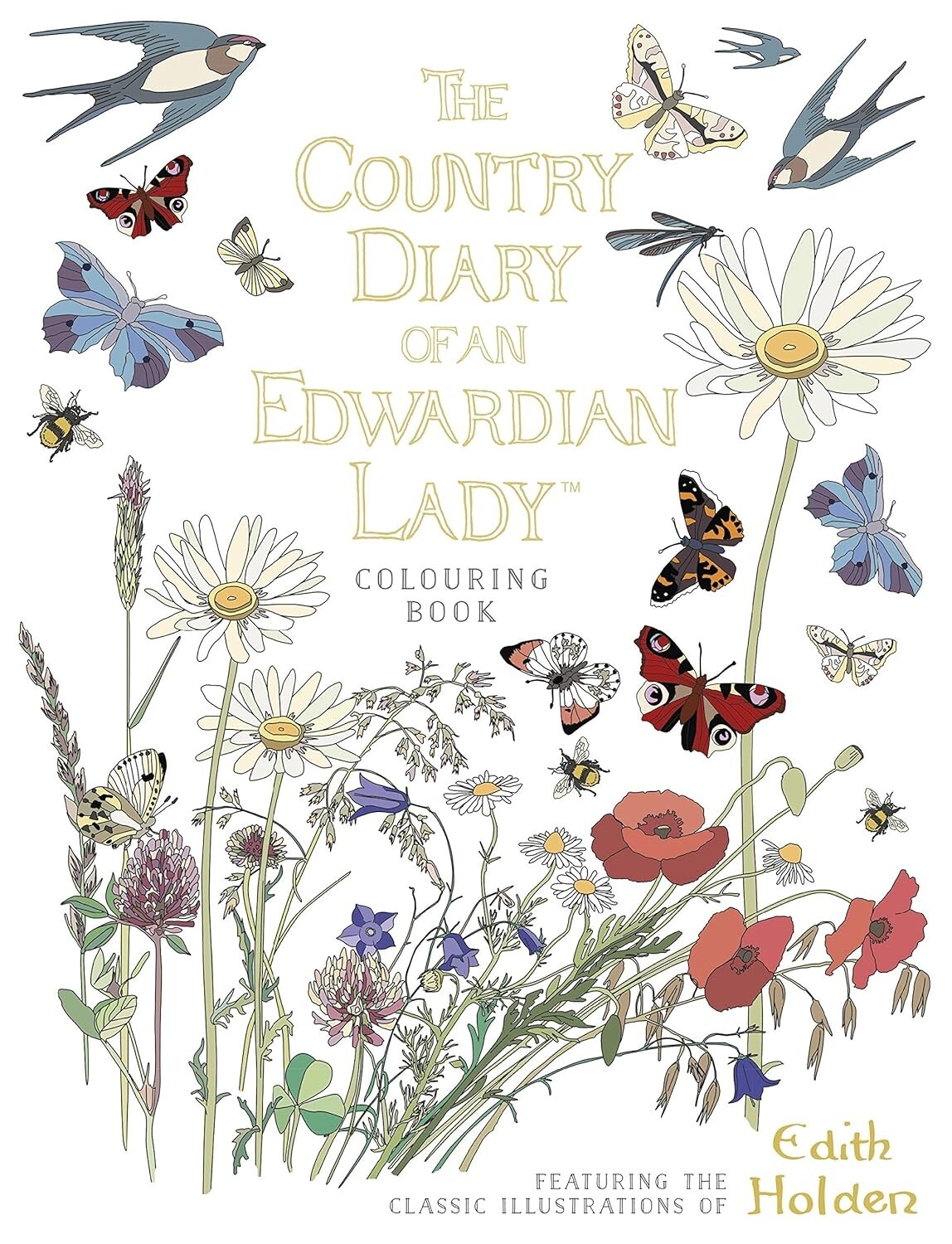 The Country Diary of an Edwardian Lady Colouring Book by Edith Holden Paperback