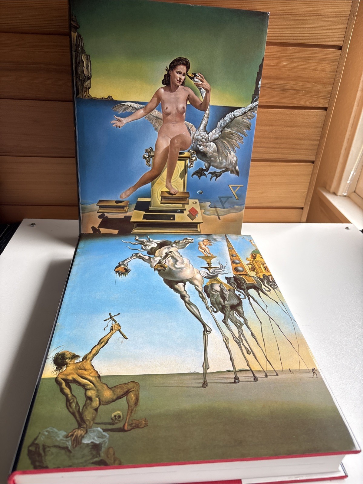 SALVADOR DALI The Paintings Benedikt Taschen Volumes I and II Hardcover Slipcase
