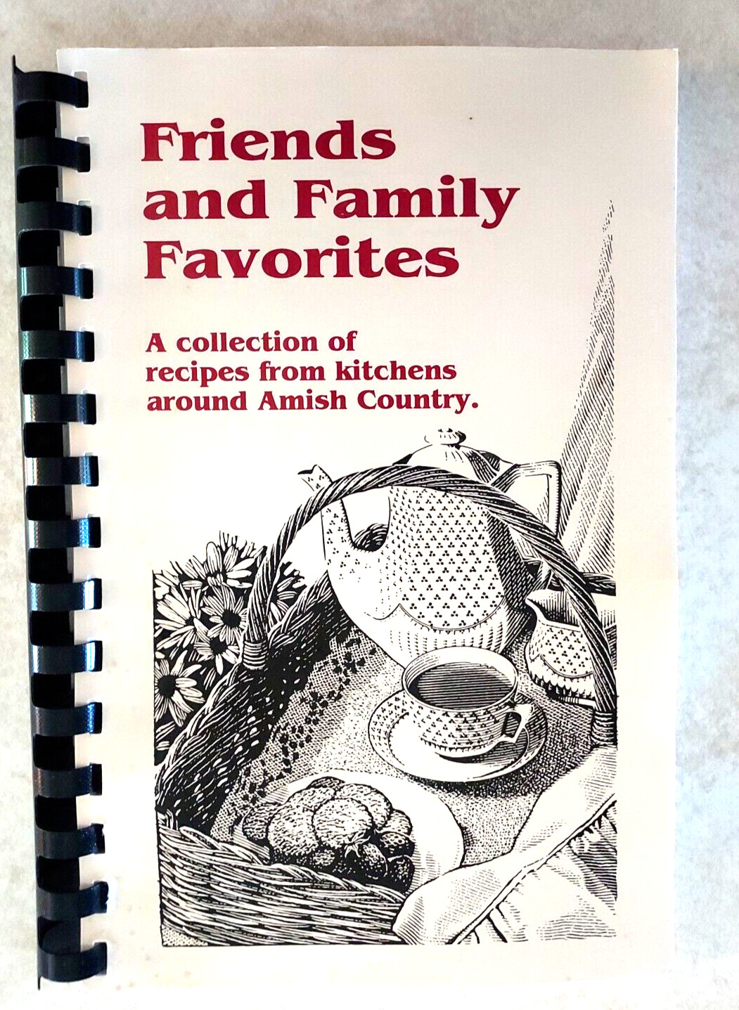 FRIENDS AND FAMILY FAVORITES Amish Country Cookbook 143 Pages Lisa Emmel