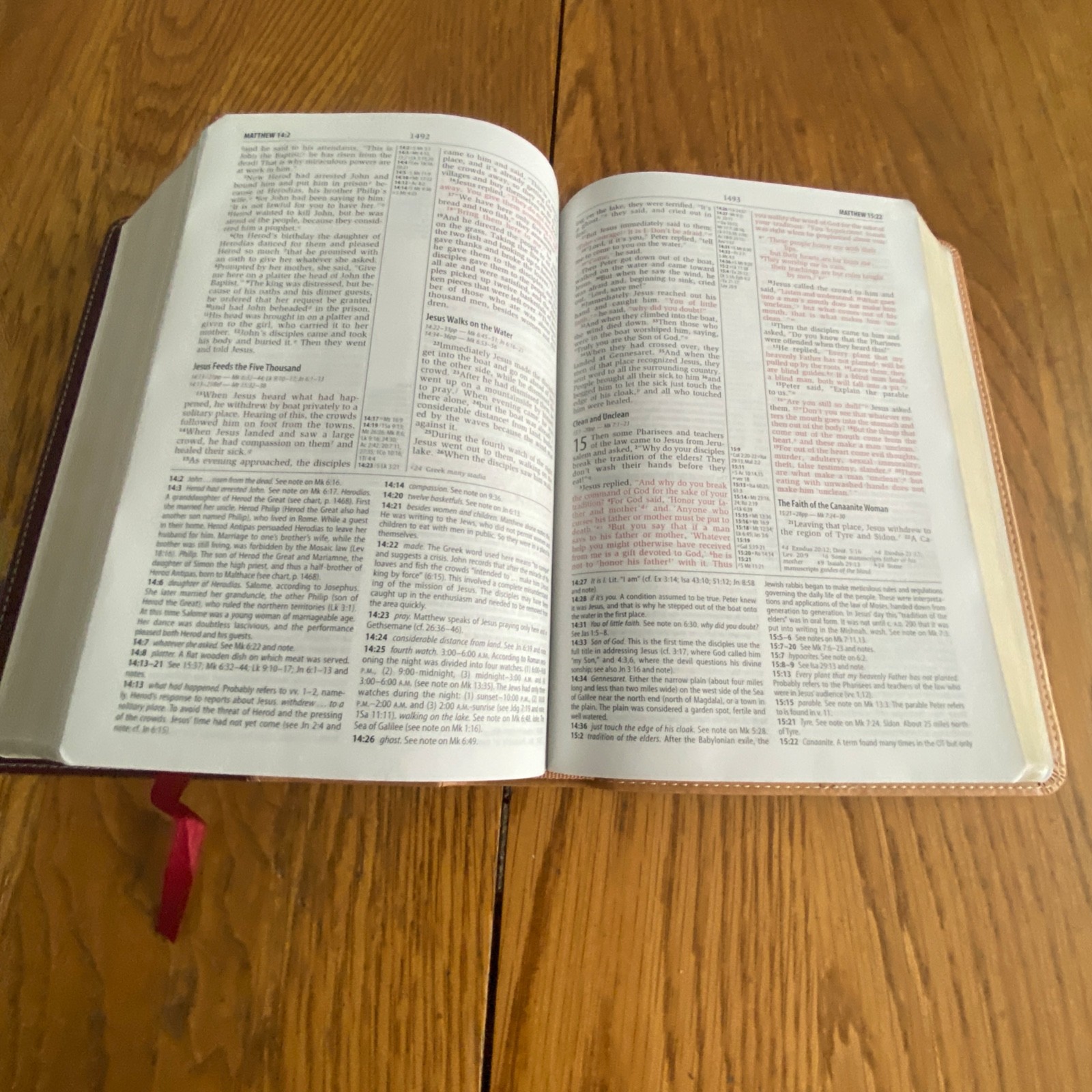 NIV Compact Study Bible Zondervan Italian Duo Tone Camel Burgundy