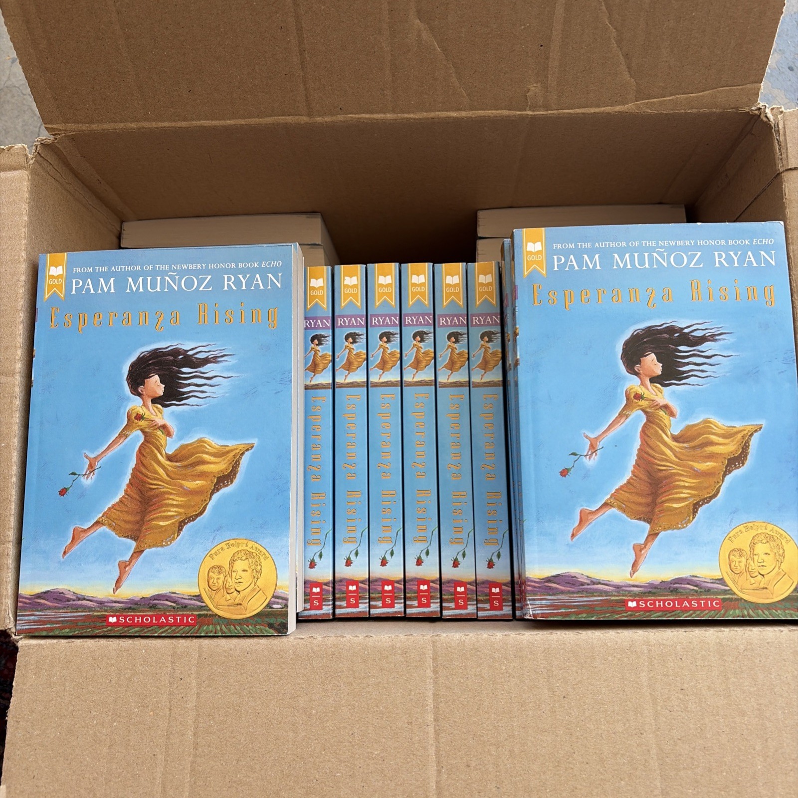 Esperanza Rising (Classroom Set Of 50) Pam Muoz Ryan guided reading
