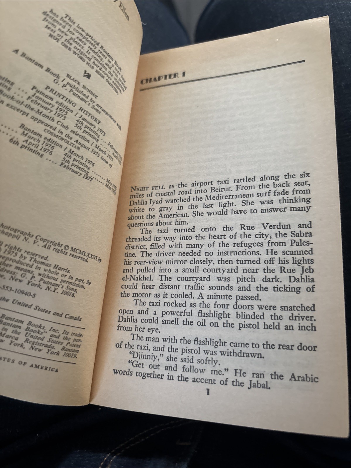 Black Sunday by Thomas Harris | 1977, Bantam | Vintage Thriller, Movie Tie-In